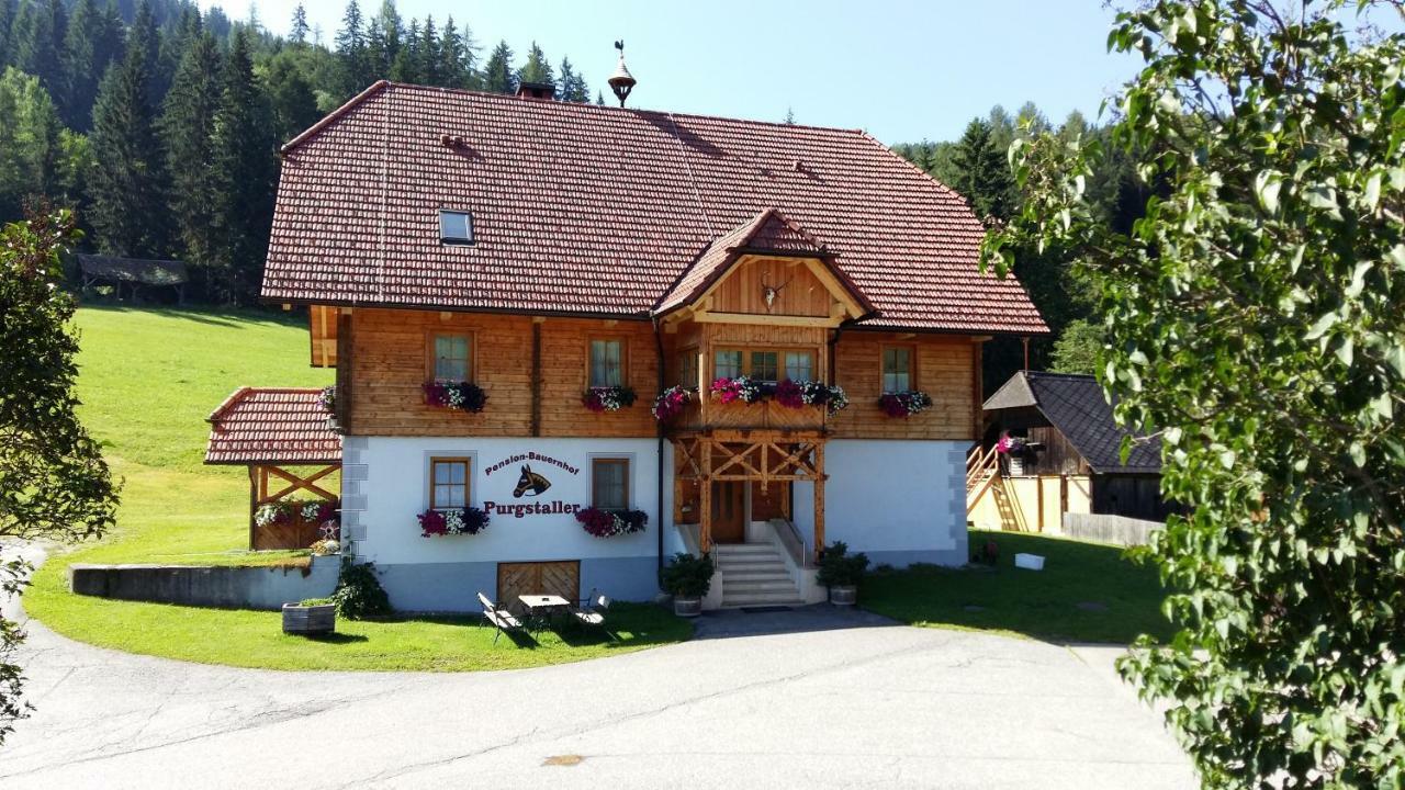 Pension - Bauernhof Sankt Lorenzen ob Murau Exterior foto